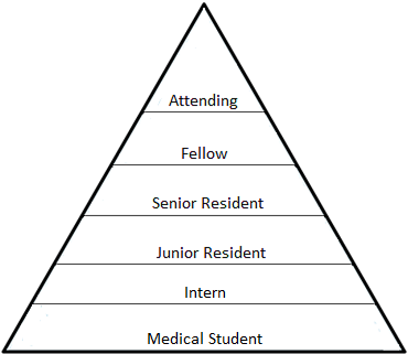 hierarchy